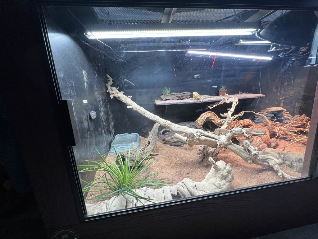 Toad Ranch