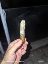 柱杨 刘 review photo