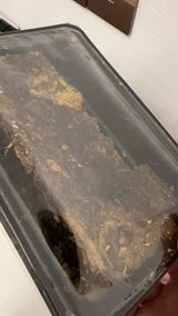 匿名 review photo