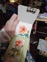 Deb G. review photo