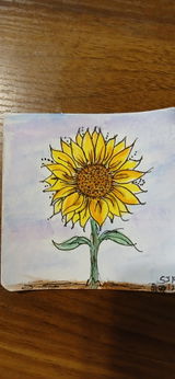 Anonymous review photo