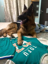 SB Aditi . review photo