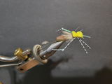 Cliff B. review photo