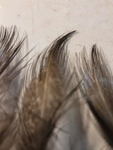 Beaul review photo