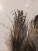 Beaul review photo