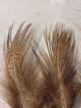 Beaul review photo