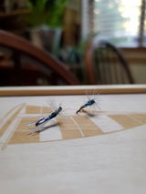 Deidre M. review photo
