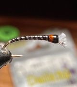 Donald F. review photo