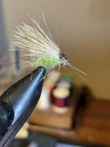 Tom F. review photo