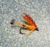 Paul F. review photo