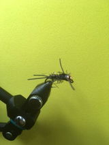 Richard S. review photo
