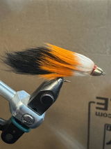 wayne B. review photo