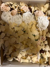 Isabella M. review photo