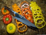 Richard Parma review photo