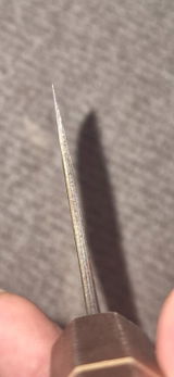 Sung review photo