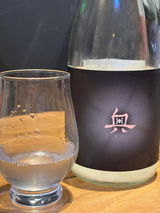 mikami review photo