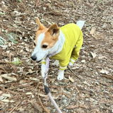 typeB_COOL_YELLOW