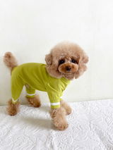 typeB_COOL_YELLOW