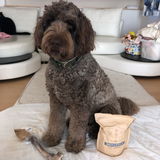 鹿肉ドッグフード 成犬用・小粒ドライタイプ