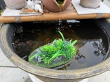 The E. review photo