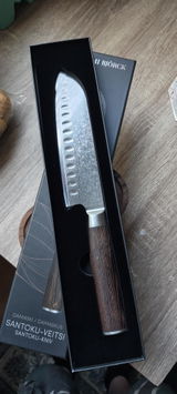 Kristjan Kask review photo