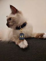 Sakdar review photo