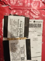 skyler review photo