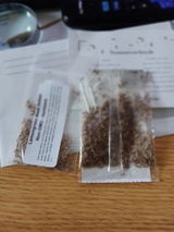 JeffH. review photo