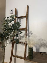 Ariane Champoux review photo