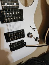 Russell Chapman review photo