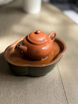 Qianhua Wei review photo
