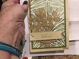 DIane F. review photo