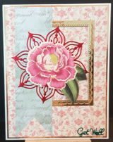 Lisabeth W. review photo