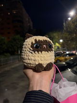 Filip review photo