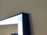 Scheck review photo