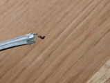 FYI DIY TMI review photo
