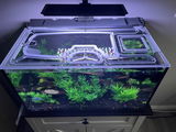 Ricardo Hernandez review photo