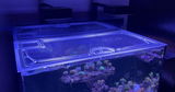 Reef Tank Journal review photo