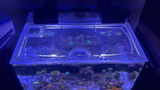 Reef Tank Journal review photo
