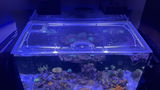 Reef Tank Journal review photo