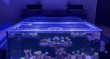 Reef Tank Journal review photo