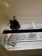 JB review photo
