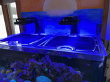 Tom’s 108 gallon Fiji Cube review photo
