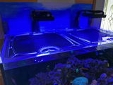 Tom’s 108 gallon Fiji Cube review photo