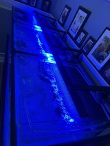 Planet Aquariums 310 review photo