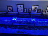 Planet Aquariums 310 review photo