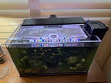 Lynn Flewelling review photo