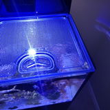 Avatar review photo