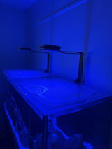 Caitlin Besaw review photo