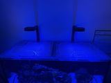 Caitlin Besaw review photo